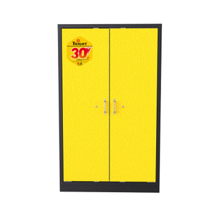 Tright / 30 Minute 45 Gallon EN Flammable Safety Cabinet / TUV Approved